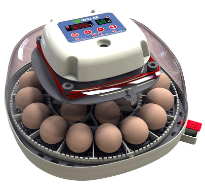 Äggkläckningsmaskin Willab 22 ägg