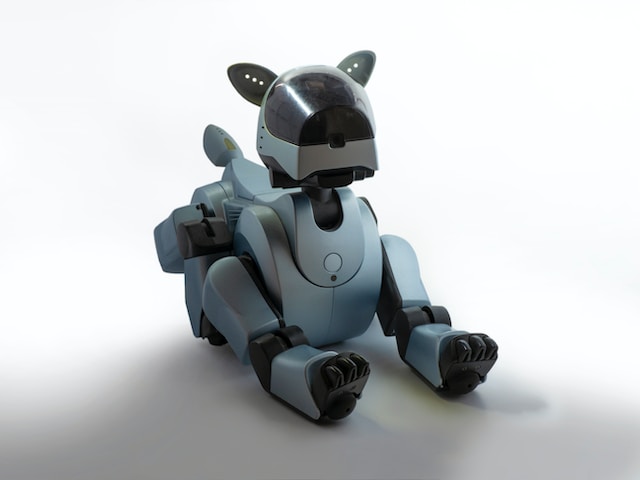 robothund bäst i test